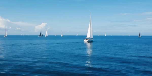 冲刺中考陪伴群-178伴读-中考辅导网