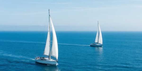 2025年人教版九年级英语全一册单词默写表-178伴读-中考辅导网