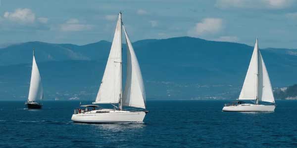 英语单词词汇专题汇总-178伴读-中考辅导网