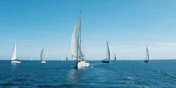 2024年山东中考语文阅读理解及解析-178伴读-中考辅导网