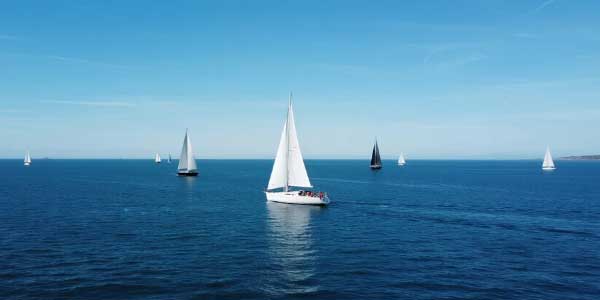 2024年重庆中考B卷语文阅读理解及解析-178伴读-中考辅导网