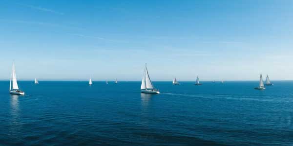 2024年广西中考语文阅读理解及解析-178伴读-中考辅导网