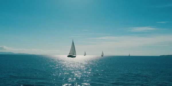 2024年安徽中考英语作文-178伴读-中考辅导网