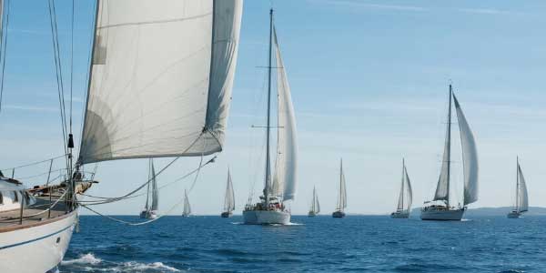 2025年上海中考英语作文-178伴读-中考辅导网