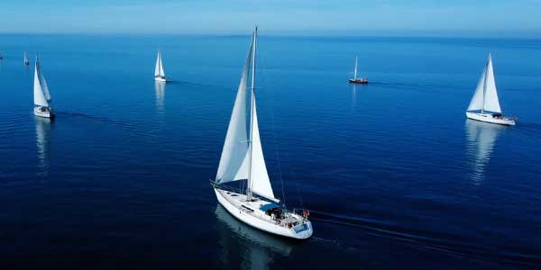 2024年陕西中考英语作文-178伴读-中考辅导网