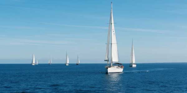 2024年新疆中考语文阅读理解及解析-178伴读-中考辅导网