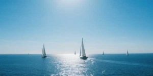 2024年安徽中考语文阅读理解及解析-178伴读-中考辅导网