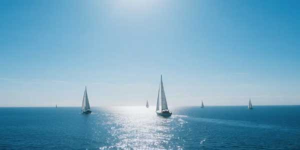 2024年安徽中考语文阅读理解及解析-178伴读-中考辅导网