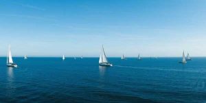 2024年广西中考语文阅读理解及解析-178伴读-中考辅导网