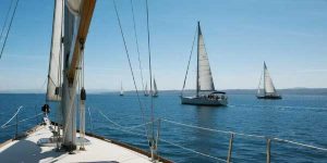 2024年安徽中考英语完形填空与阅读理解及答案-178伴读-中考辅导网