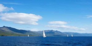 语文古诗文常识中考真题训练（2024）-178伴读-中考辅导网