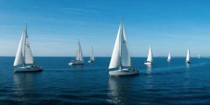 2024年青海中考语文阅读理解及解析-178伴读-中考辅导网