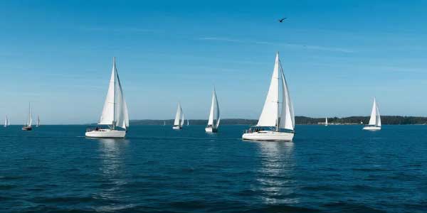 2024年江西中考语文阅读理解及解析-178伴读-中考辅导网